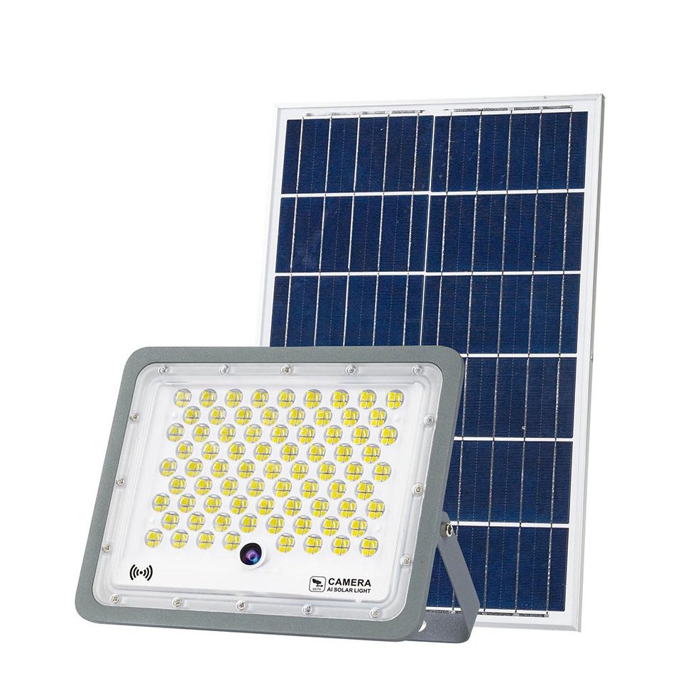 Solar Security Camera Light